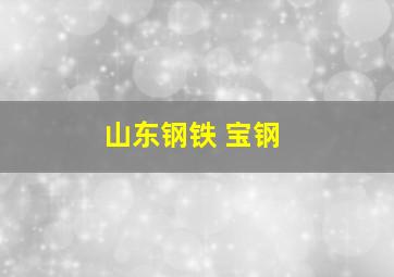 山东钢铁 宝钢